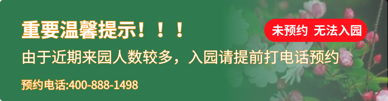 天津玉佛寺寝宫